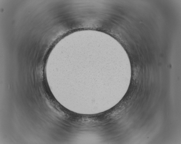 X0000088390632200706191333