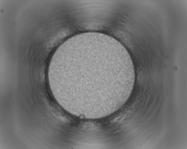 X0000088390635200706191333