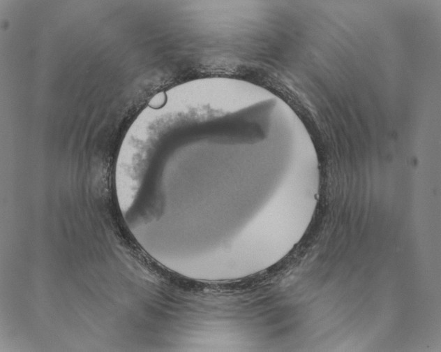 X0000088390641200706191334