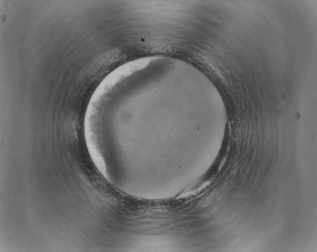 X0000088390643200706191334