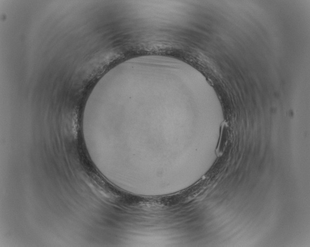 X0000088390644200706191334