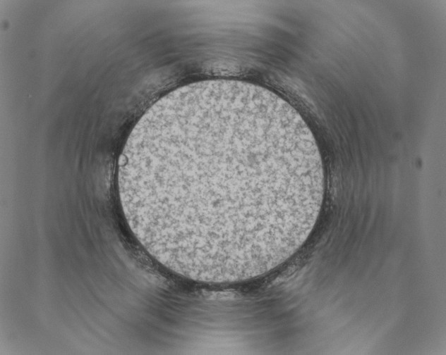 X0000088390645200706191334