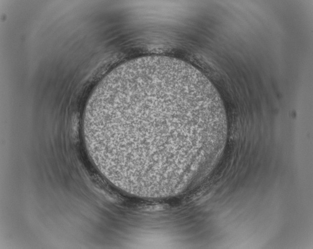 X0000088390646200706191334