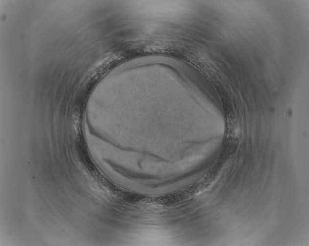 X0000088390648200706191334