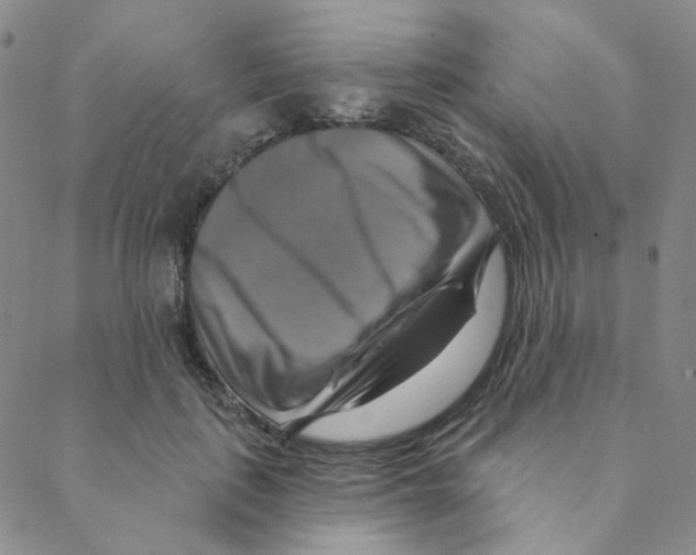 X0000088390651200706191334