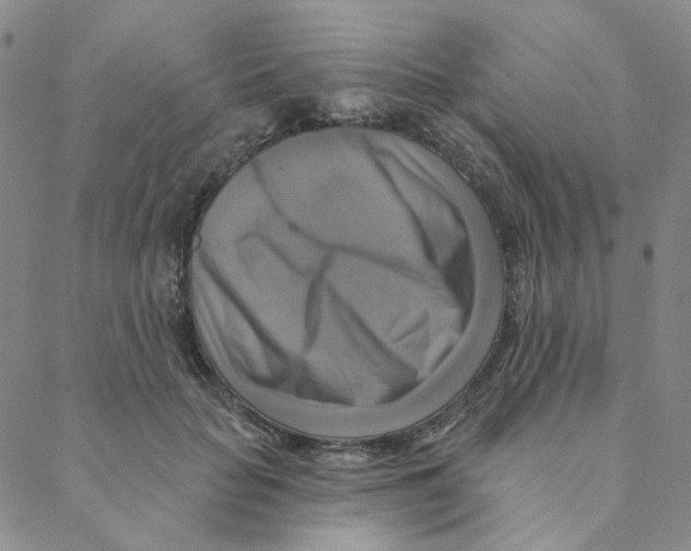 X0000088390653200706191334