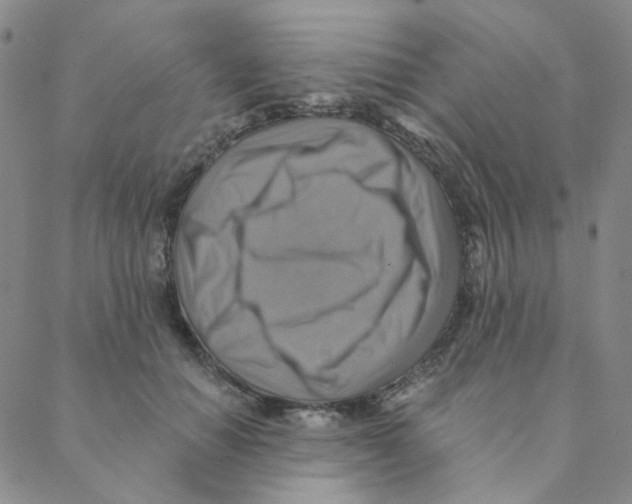 X0000088390654200706191334