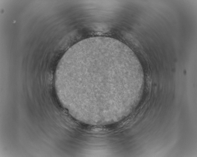 X0000088390657200706191334