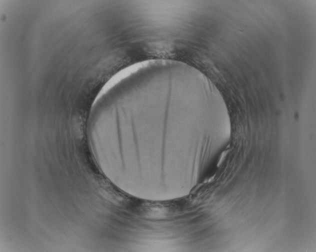 X0000088390658200706191334
