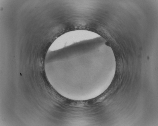 X0000088390661200706191334