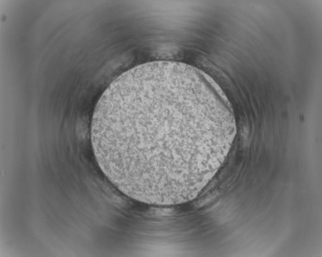 X0000088390665200706191334
