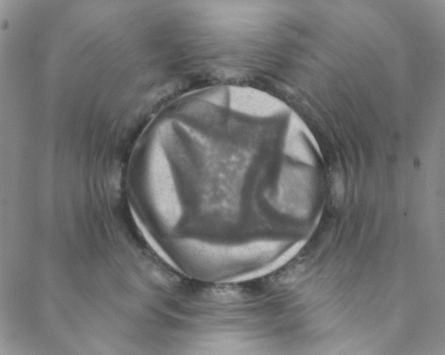 X0000088390668200706191334