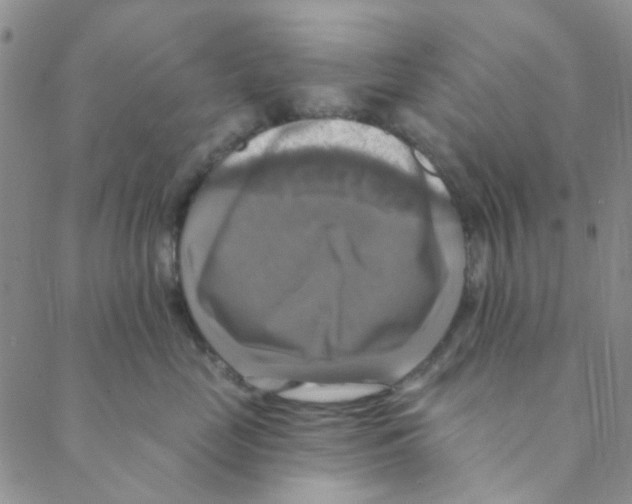 X0000088390669200706191334