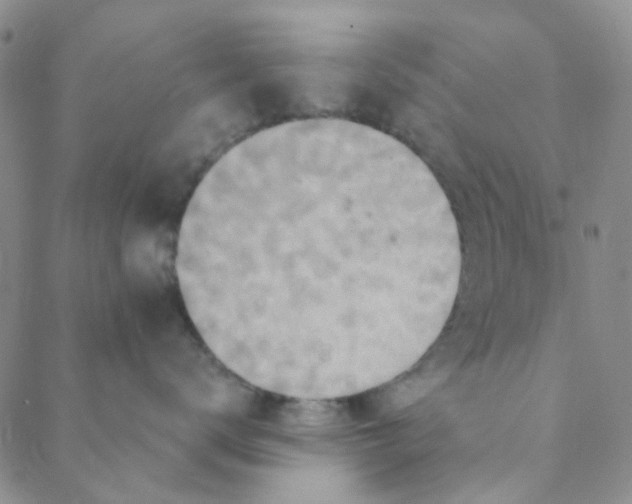 X0000088390672200706191334