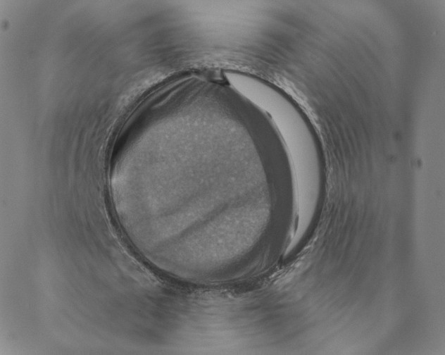 X0000088390673200706191333