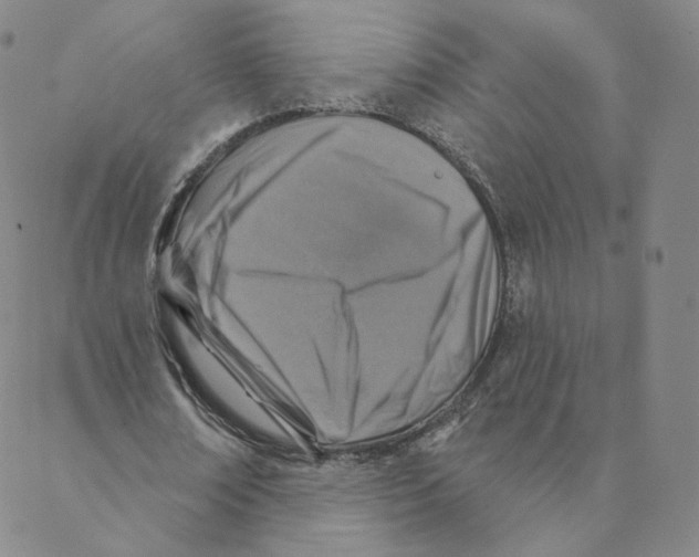 X0000088390674200706191333