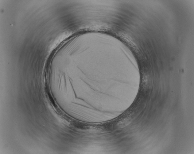 X0000088390678200706191333