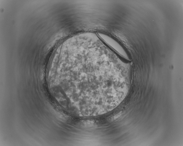 X0000088390687200706191333