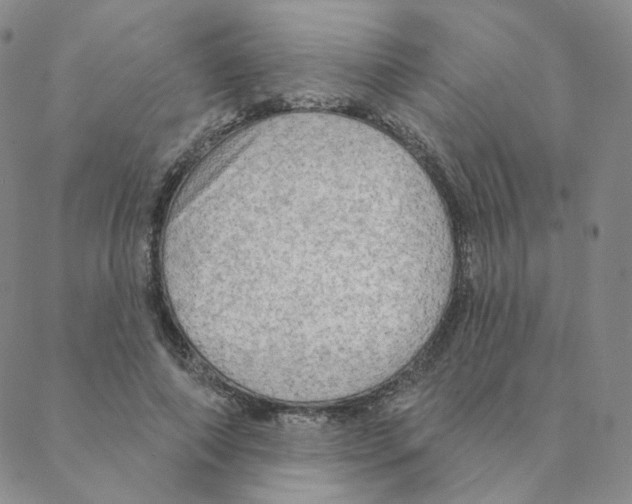 X0000088390690200706191333