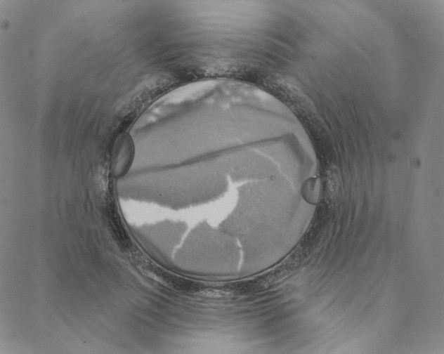 X0000088390691200706191333
