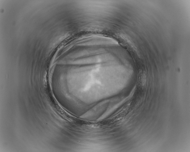 X0000088390692200706191333
