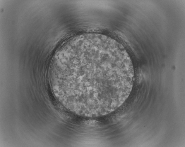 X0000088390695200706191333