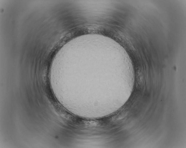 X0000088390698200706191333
