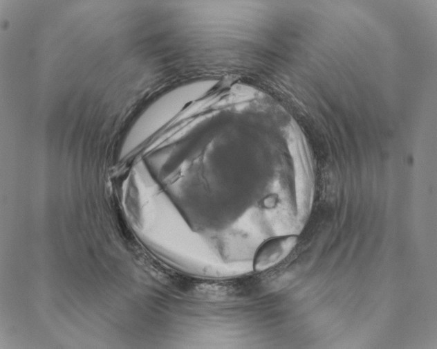 X0000088390699200706191333