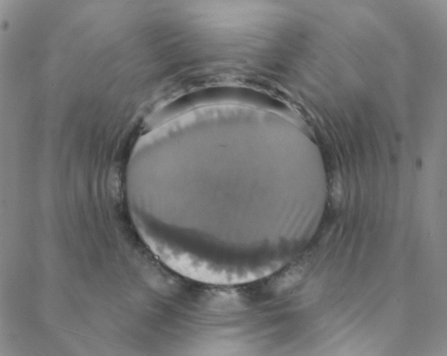 X0000088390715200706191333