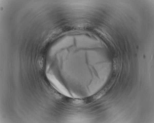 X0000088390718200706191333