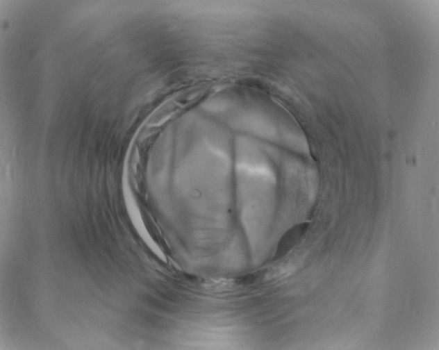 X0000088390720200706191332