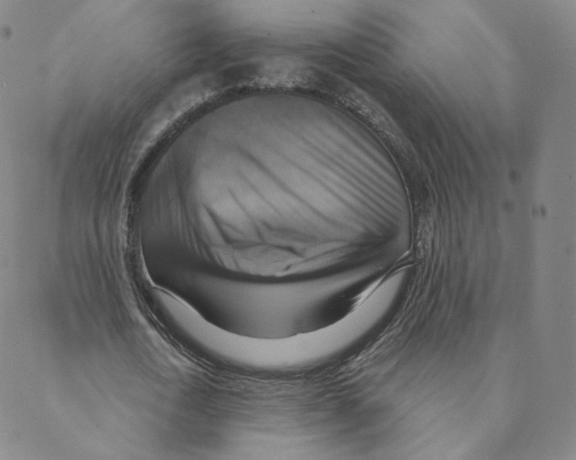 X0000088390722200706191332