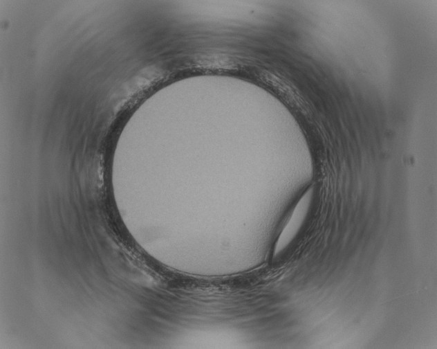 X0000088390731200706191332