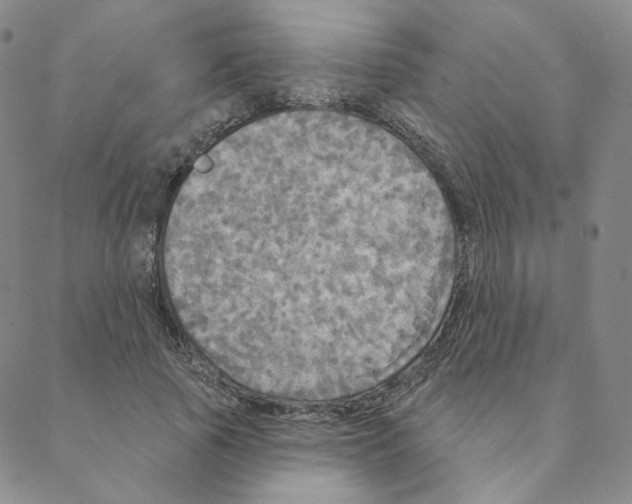 X0000088390737200706191332