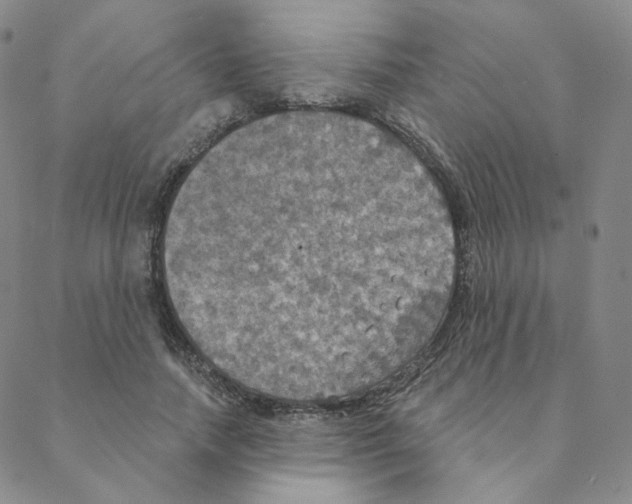 X0000088390738200706191332