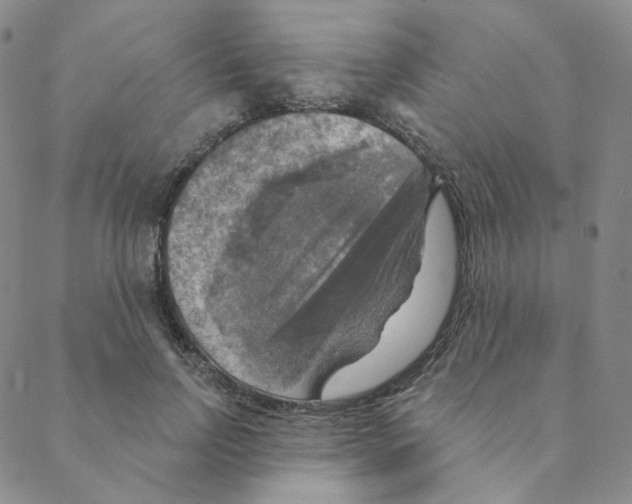 X0000088390742200706191332
