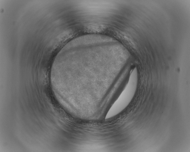 X0000088390743200706191332
