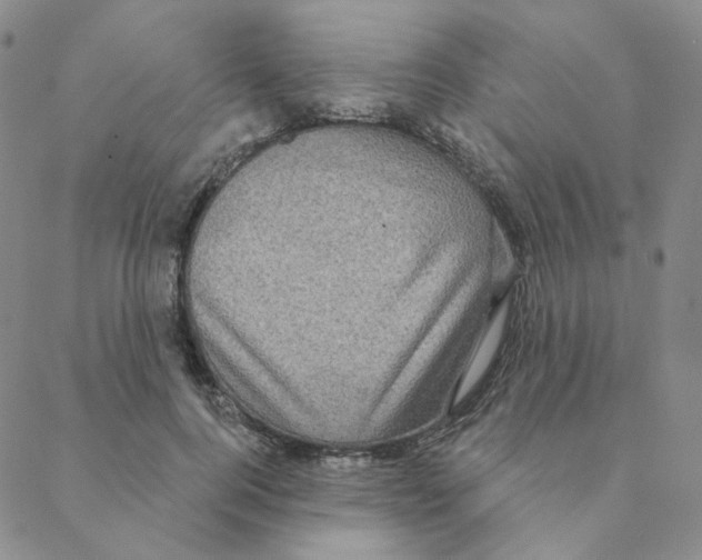X0000088390744200706191332