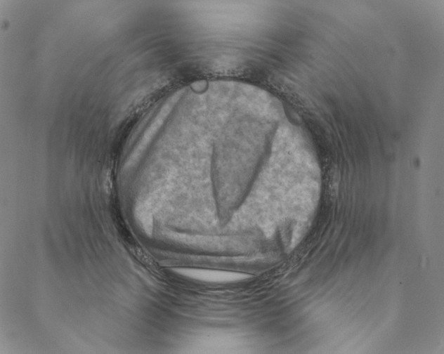 X0000088390746200706191332