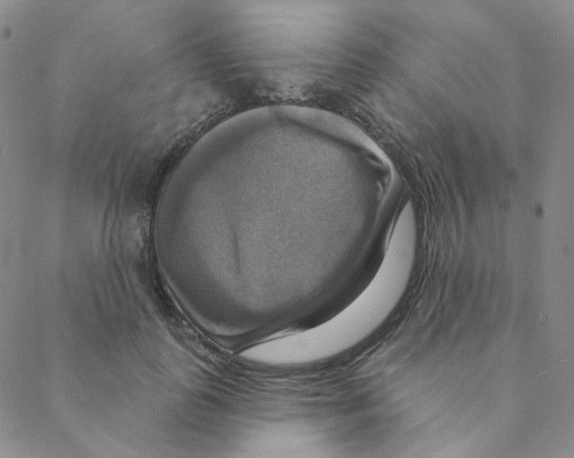 X0000088390747200706191332