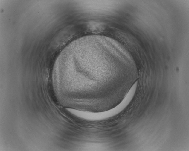 X0000088390752200706191332