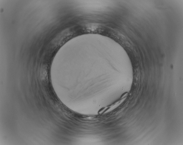 X0000088390754200706191332
