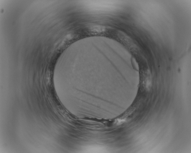 X0000088390758200706191332