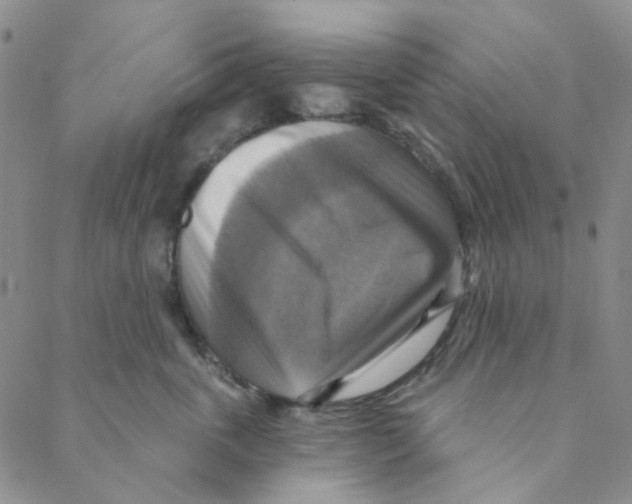 X0000088390763200706191332