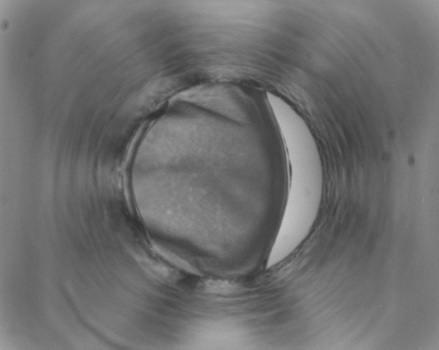X0000088390766200706191332