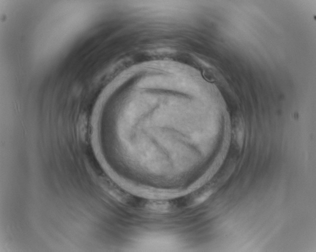 X0000088390767200706191332
