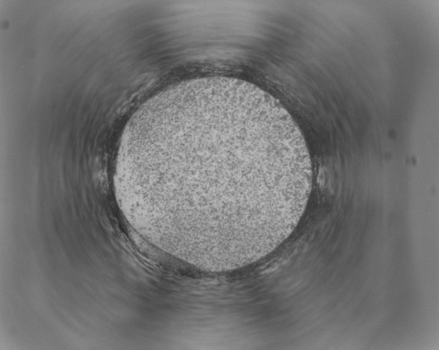 X0000088390771200706191332