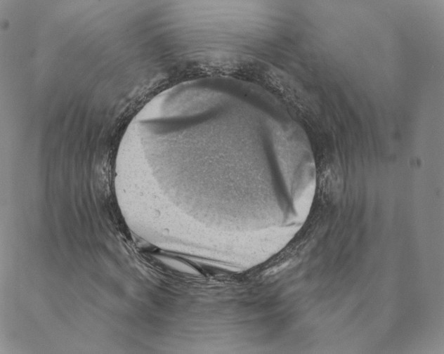 X0000088390772200706191332