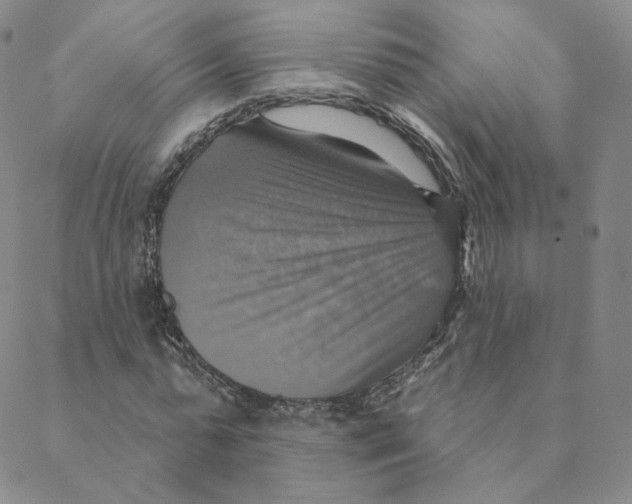 X0000088390775200706191332