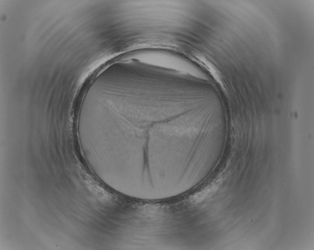 X0000088390779200706191332